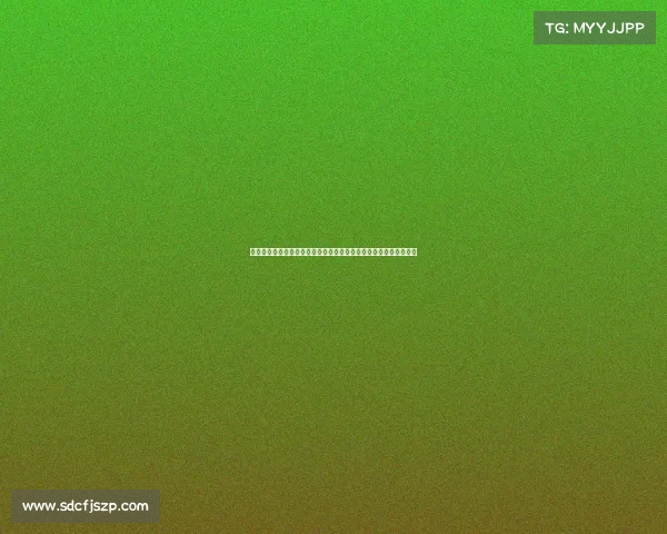 大荔国际赛事报名盛大启动诚邀全球选手踊跃加入共享精彩体育盛事